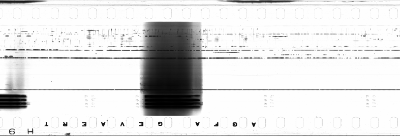 FR751142302_IDN_M_0008_1973_0224 PNG