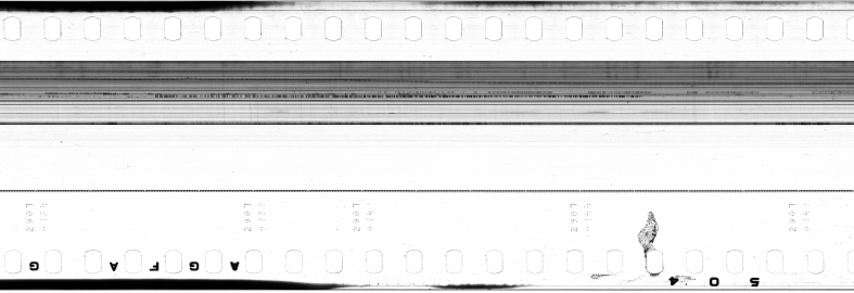 FR751142302_IDN_M_0013_1973_0254 PNG