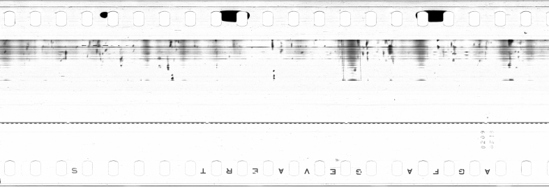 FR751142302_IDN_M_0018_1973_0266 PNG