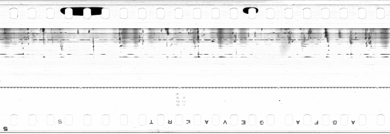 FR751142302_IDN_M_0018_1973_0272 PNG