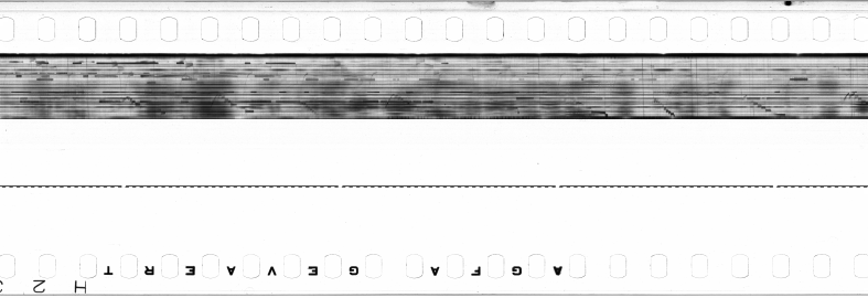 FR751142302_IDN_M_0023_1973_0276 PNG