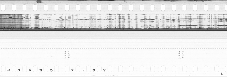 FR751142302_IDN_M_0024_1973_0245 PNG