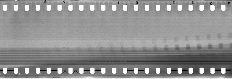 FR751142302_IDN_M_0029_1973_0169 PNG