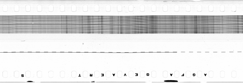 FR751142302_IDN_M_0082_1974_0012 PNG