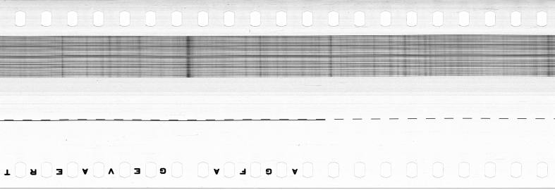 FR751142302_IDN_M_0082_1974_0202 PNG