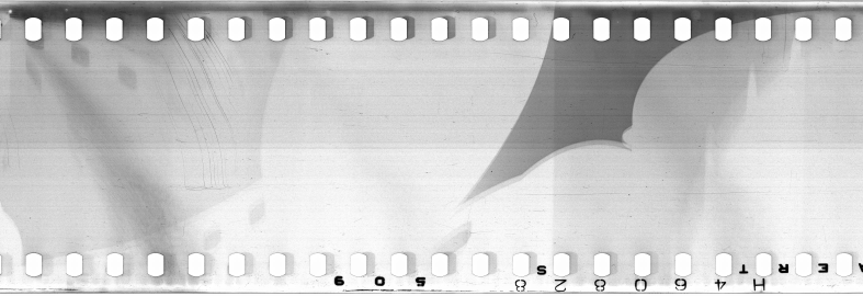 FR751142302_IDN_M_0082_1974_0305 PNG