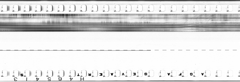 FR751142302_IDN_M_0091_1974_0033 PNG