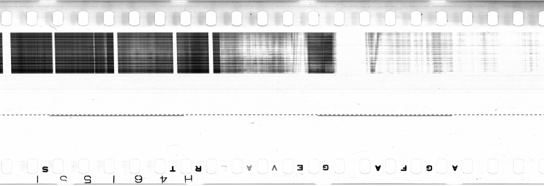 FR751142302_IDN_M_0101_1974_0010 PNG