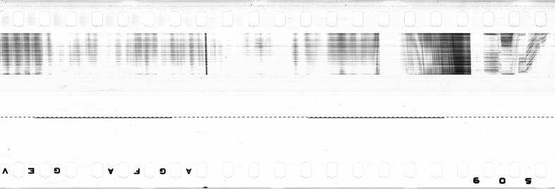 FR751142302_IDN_M_0101_1974_0012 PNG