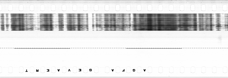 FR751142302_IDN_M_0101_1974_0102 PNG