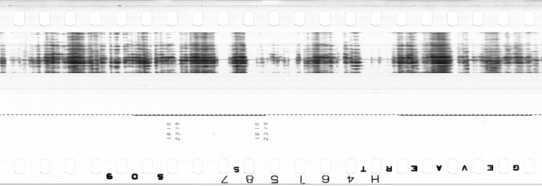 FR751142302_IDN_M_0101_1974_0118 PNG