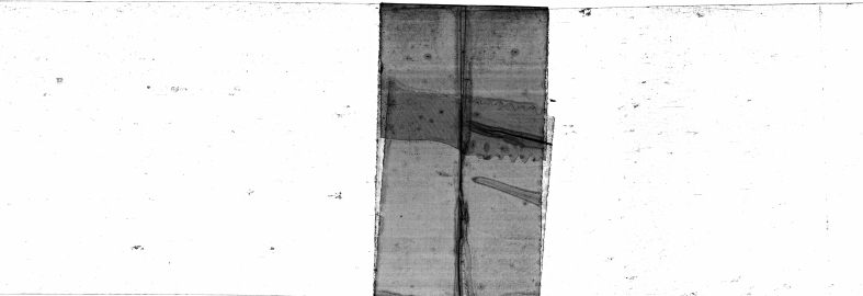 FR751142302_IDN_M_0108_1974_0000 PNG