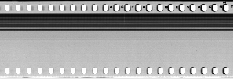 FR751142302_IDN_M_0134_1977_0033 PNG