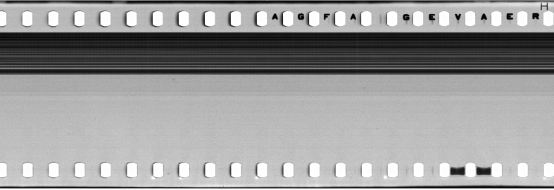 FR751142302_IDN_M_0134_1977_0039 PNG