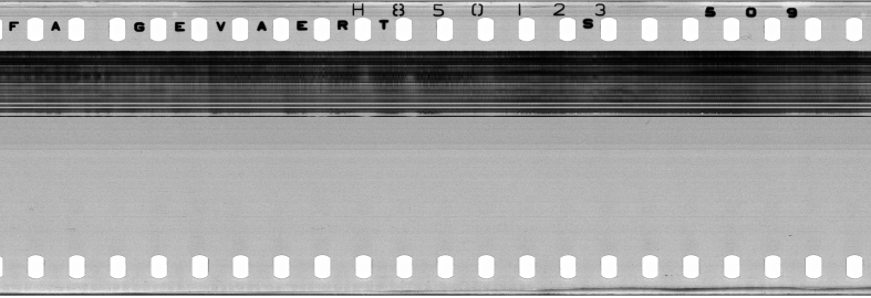 FR751142302_IDN_M_0134_1977_0172 PNG
