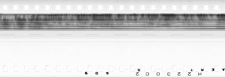 FR751142302_IDN_M_0146_1978_0216 PNG
