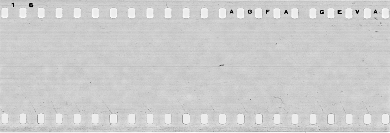 FR751142302_IDN_S_0076_1973_0299 PNG