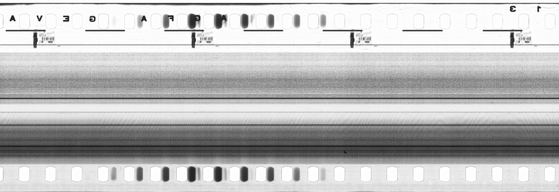 FR751142302_IDN_S_0099_1973_0014 PNG