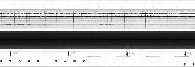 FR751142302_IDN_S_0114_1973_0207 PNG