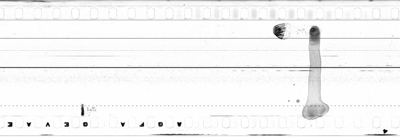 FR751142302_IDN_S_0117_1973_0323 PNG