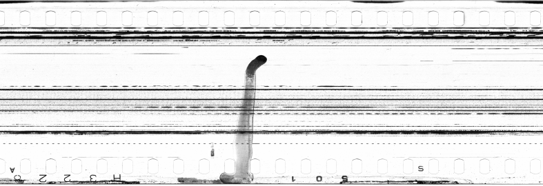 FR751142302_IDN_S_0132_1973_0325 PNG