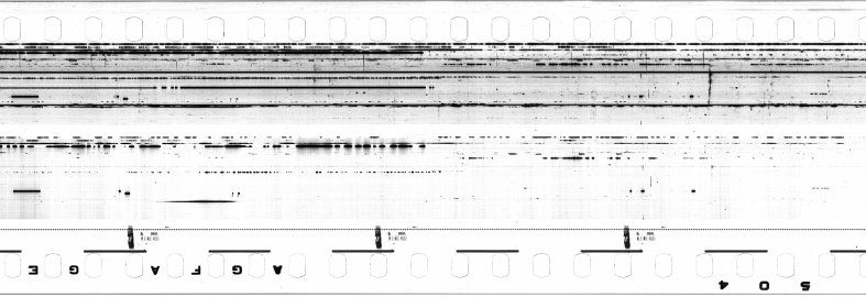 FR751142302_IDN_S_0153_1973_0201 PNG