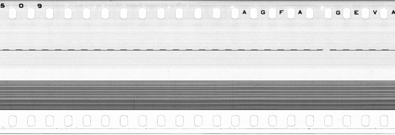 FR751142302_IDN_S_0164_1973_0155 PNG