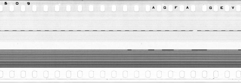 FR751142302_IDN_S_0164_1973_0161 PNG