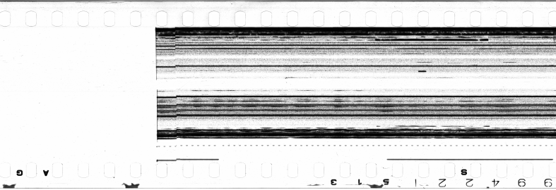FR751142302_IDN_S_0181_1973_0010 PNG