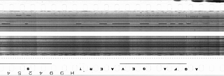 FR751142302_IDN_S_0181_1973_0110 PNG