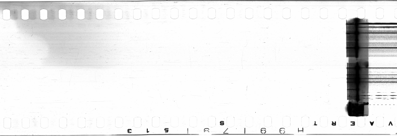 FR751142302_IDN_S_0194_1973_0005 PNG
