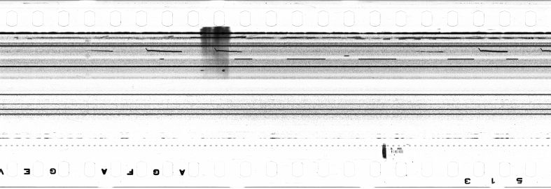 FR751142302_IDN_S_0194_1973_0012 PNG