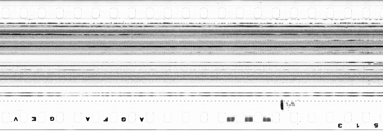 FR751142302_IDN_S_0194_1973_0024 PNG
