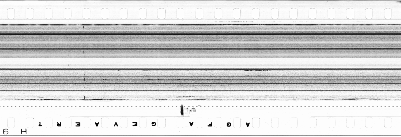 FR751142302_IDN_S_0195_1974_0173 PNG