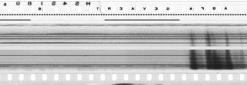 FR751142302_IDN_S_0235_1974_0213 PNG