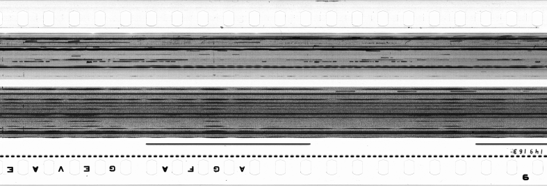 FR751142302_IDN_S_0247_1974_0307 PNG
