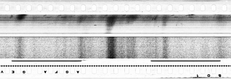 FR751142302_IDN_S_0263_1974_0008 PNG