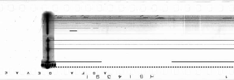FR751142302_IDN_S_0271_1974_0127 PNG