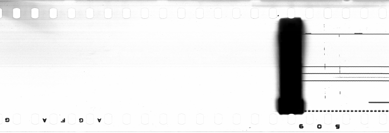 FR751142302_IDN_S_0283_1974_0009 PNG
