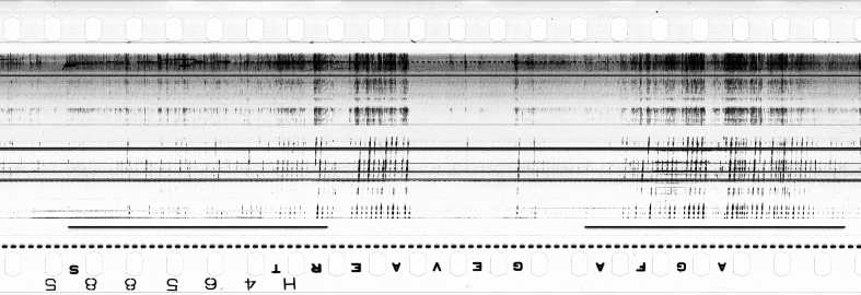 FR751142302_IDN_S_0283_1974_0177 PNG