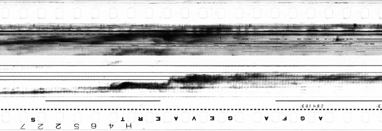 FR751142302_IDN_S_0296_1974_0194 PNG
