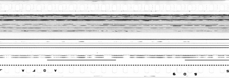 FR751142302_IDN_S_0299_1974_0077 PNG