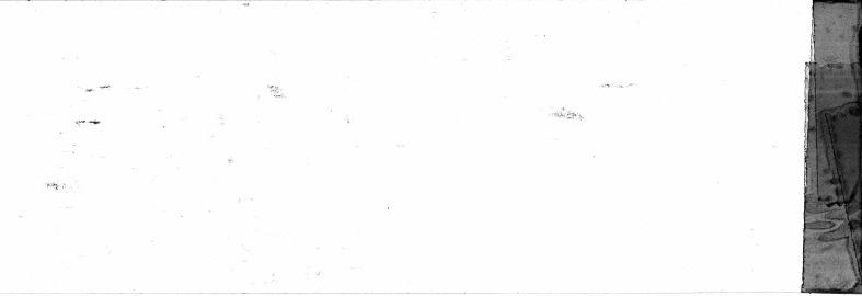FR751142302_IDN_S_0348_1975_0004 PNG