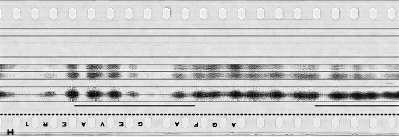 FR751142302_IDN_S_0360_1975_0164 PNG