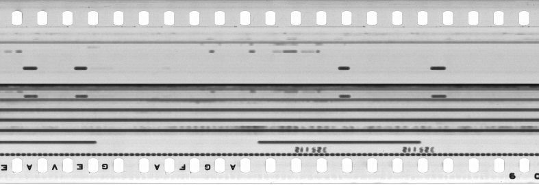 FR751142302_IDN_S_0364_1975_0051 PNG