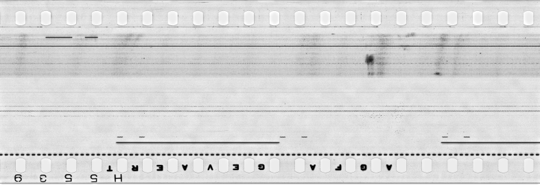 FR751142302_IDN_S_0378_1976_0133 PNG