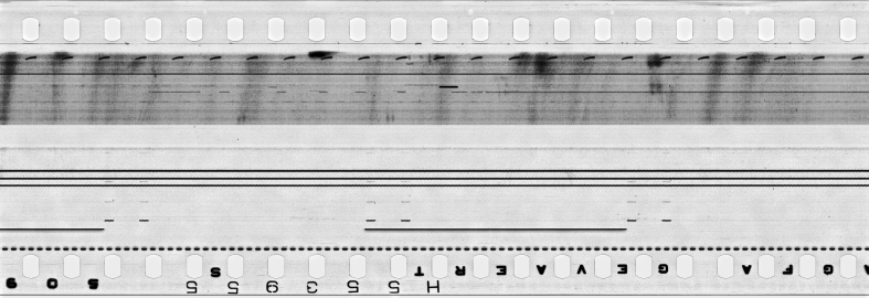 FR751142302_IDN_S_0378_1976_0217 PNG