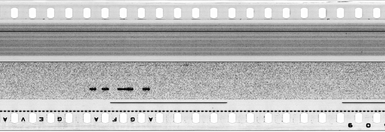 FR751142302_IDN_S_0388_1976_0202 PNG