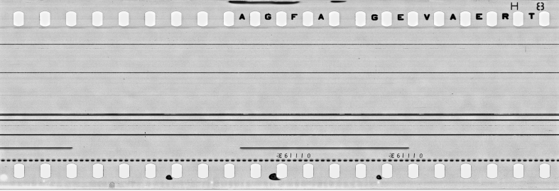 FR751142302_IDN_S_0406_1976_0106 PNG
