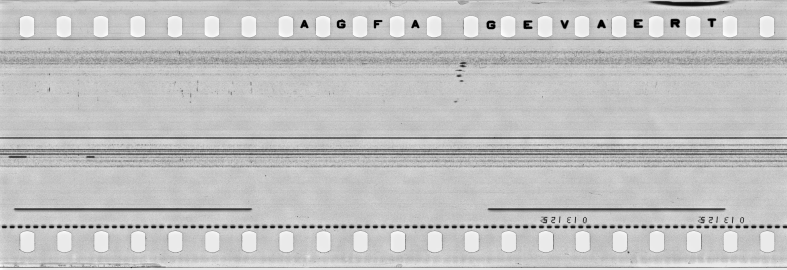 FR751142302_IDN_S_0406_1976_0249 PNG